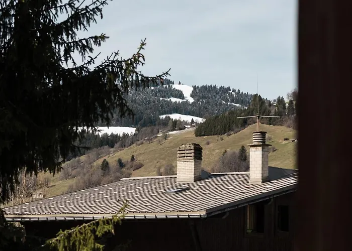 Lejlighed L'oree - Centre - *